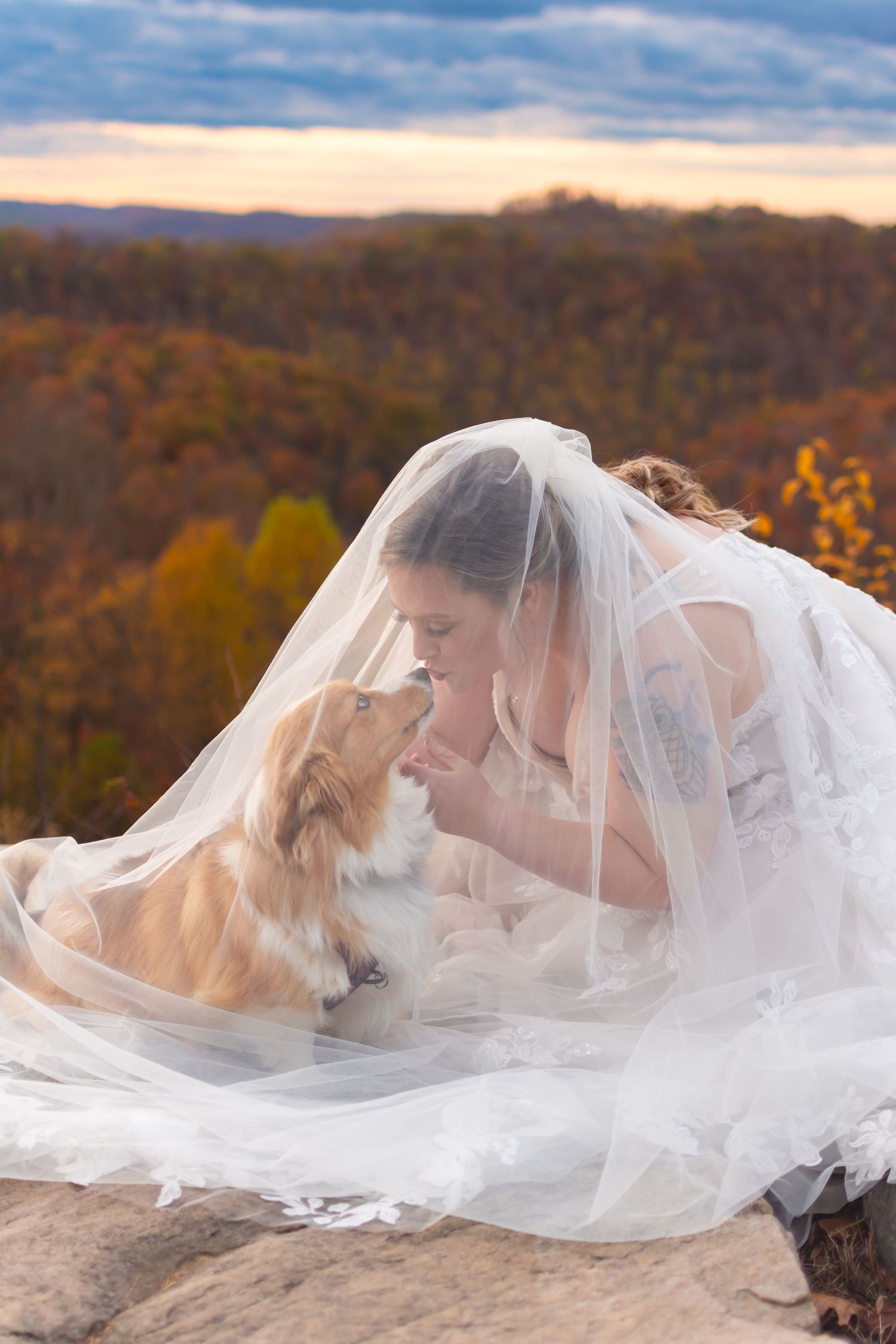 Bride in white gown and veil sharing a tender moment with her golden dog on a rocky overlook at sunset.