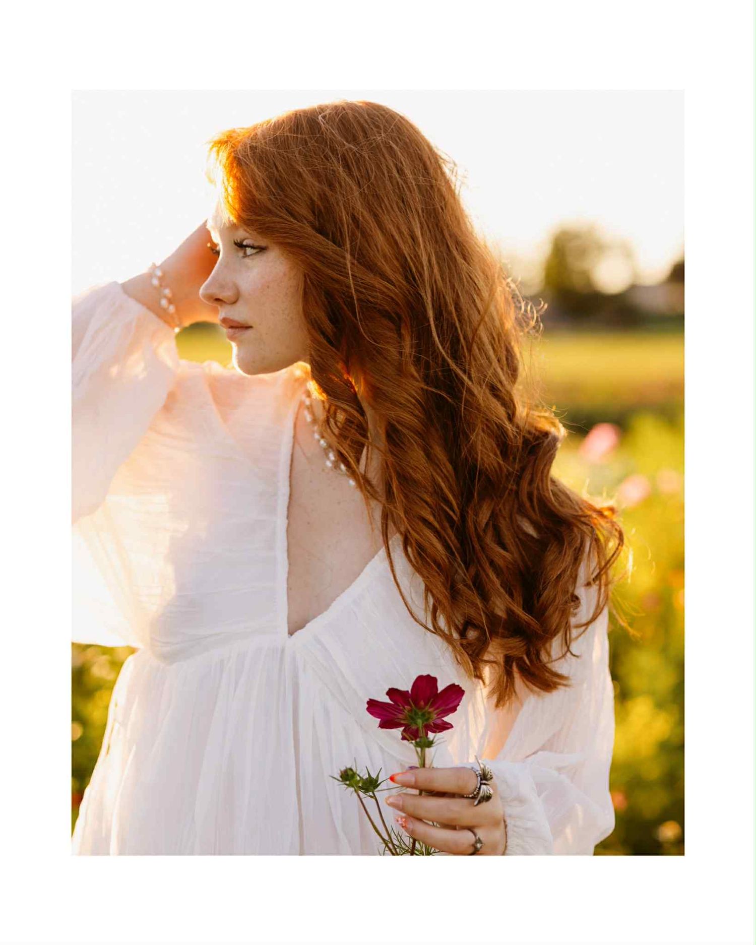 A high school senior in white dress holding red roses against golden sunlit field during sunset in Petoskey Michigan.