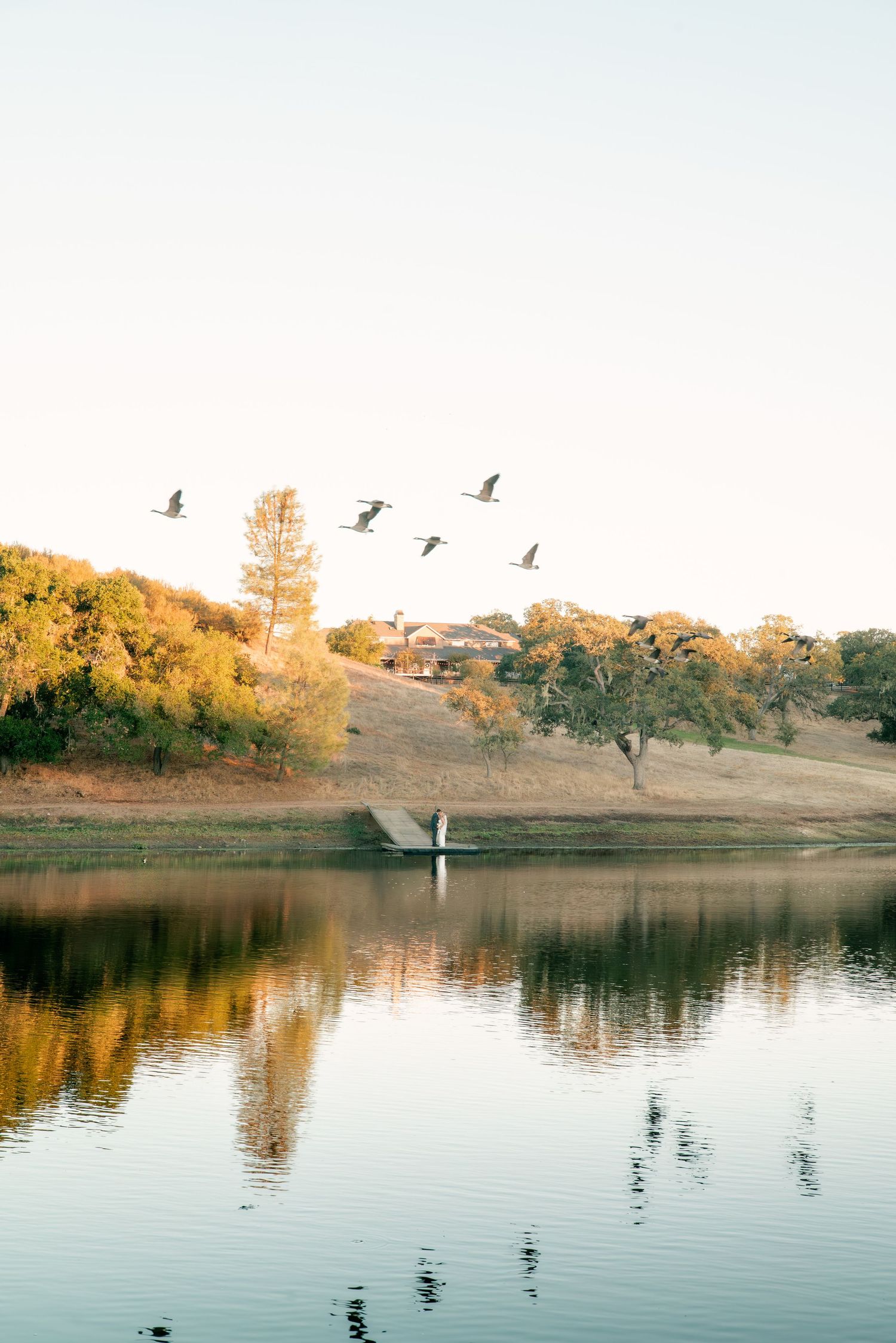 Birds fly over a tranquil lake at sunset with golden hills and trees reflecting in the calm water's surface.