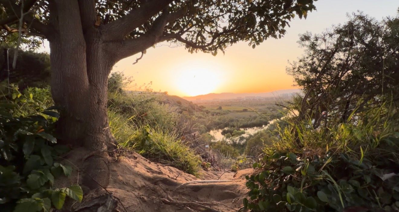 Golden sunset over a lush tropical landscape with a winding river visible through verdant trees and hills.