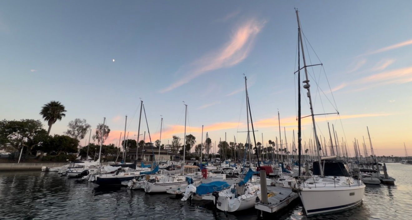 Sailboats docked at a marina during a colorful sunset with palm trees and a crescent moon in the background.