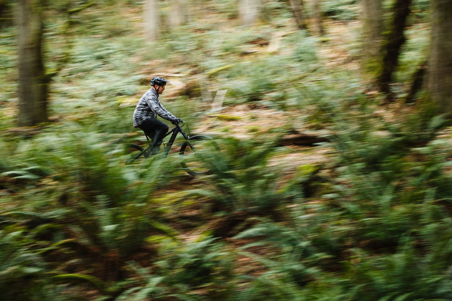Mountain biker riding a black full-suspension bike on a dirt trail through lush green ferns in a forest.