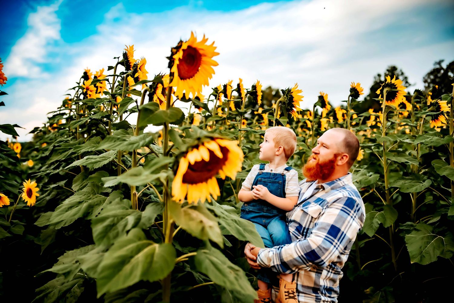 NORTH GEORGIA PHOTOGRAPHER | SUNFLOWER SESSION | FAUSETT FARMS SUNFLOWERS