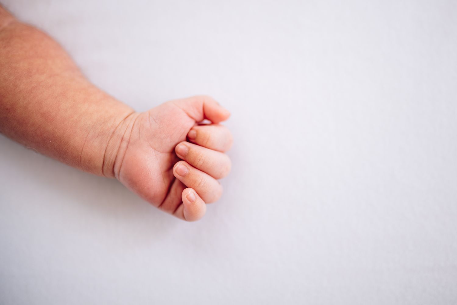 A small baby's hand with delicate fingers curled into a gentle fist against a plain white background taken by Melbourne newborn photographer