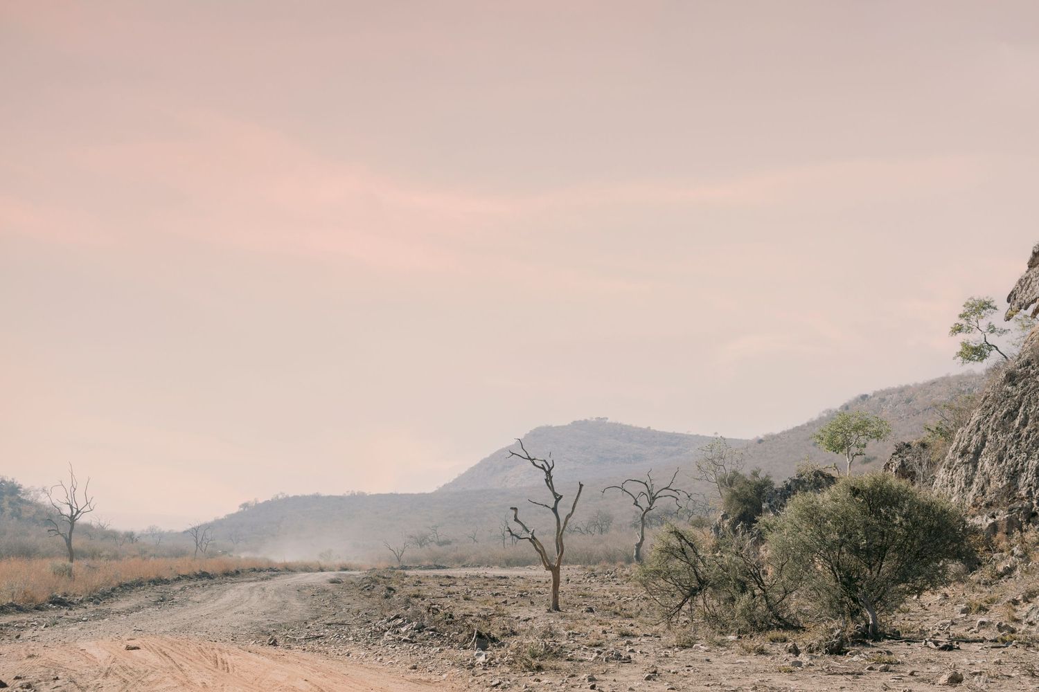 Arid African landscape with bare trees, rocky mountains, and a dusty dirt road under a hazy sky.