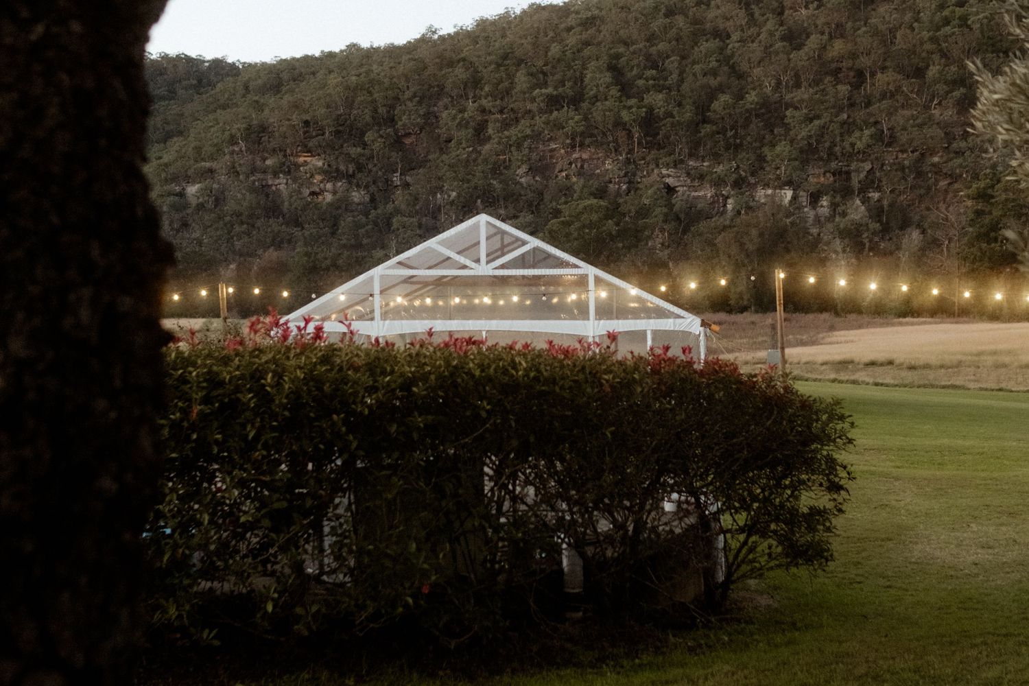 Wedding reception tent glowing with string lights at dusk nestled against mountain backdrop.