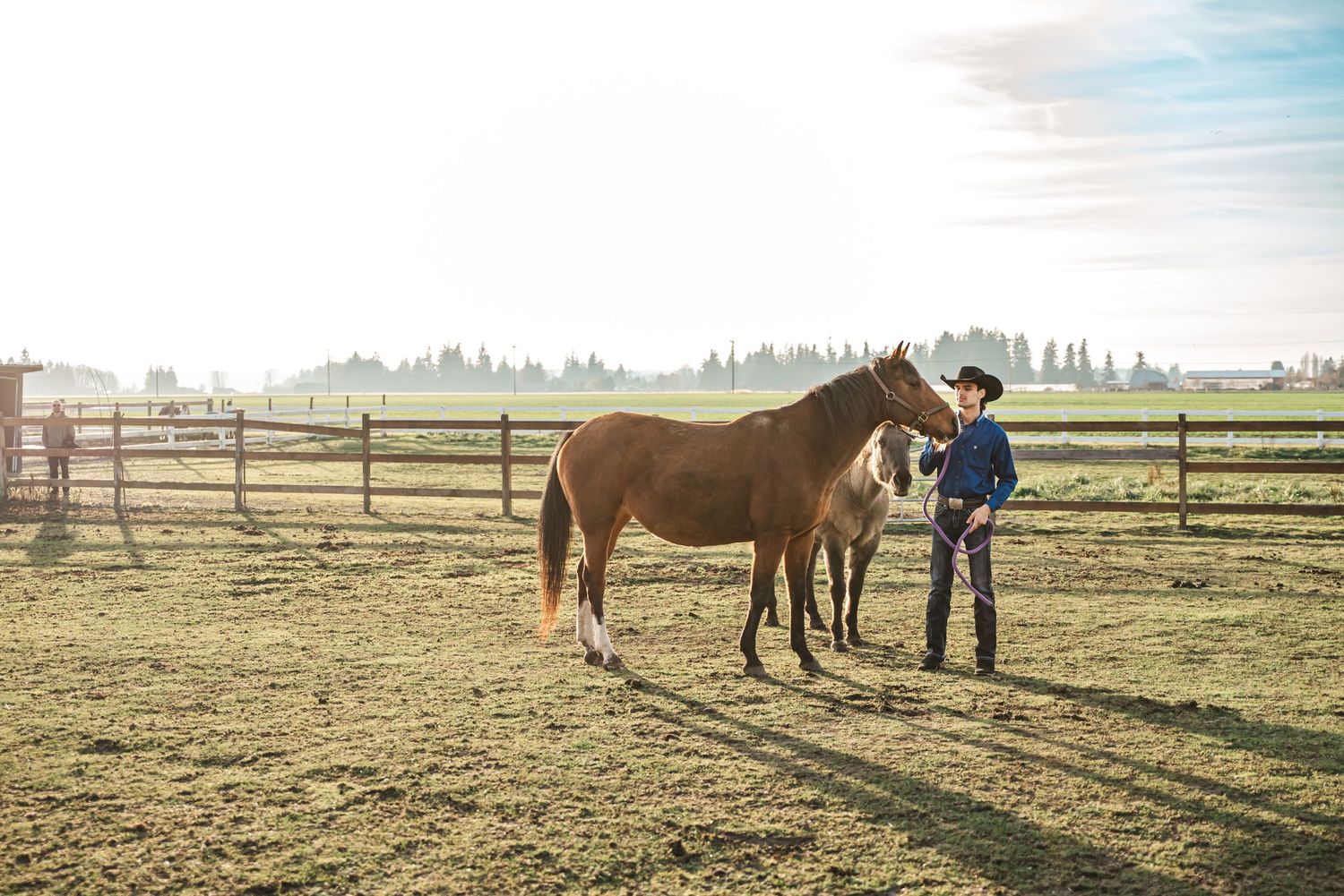 senior guy stands with his horse at a ranch in bow, washington, skagit county