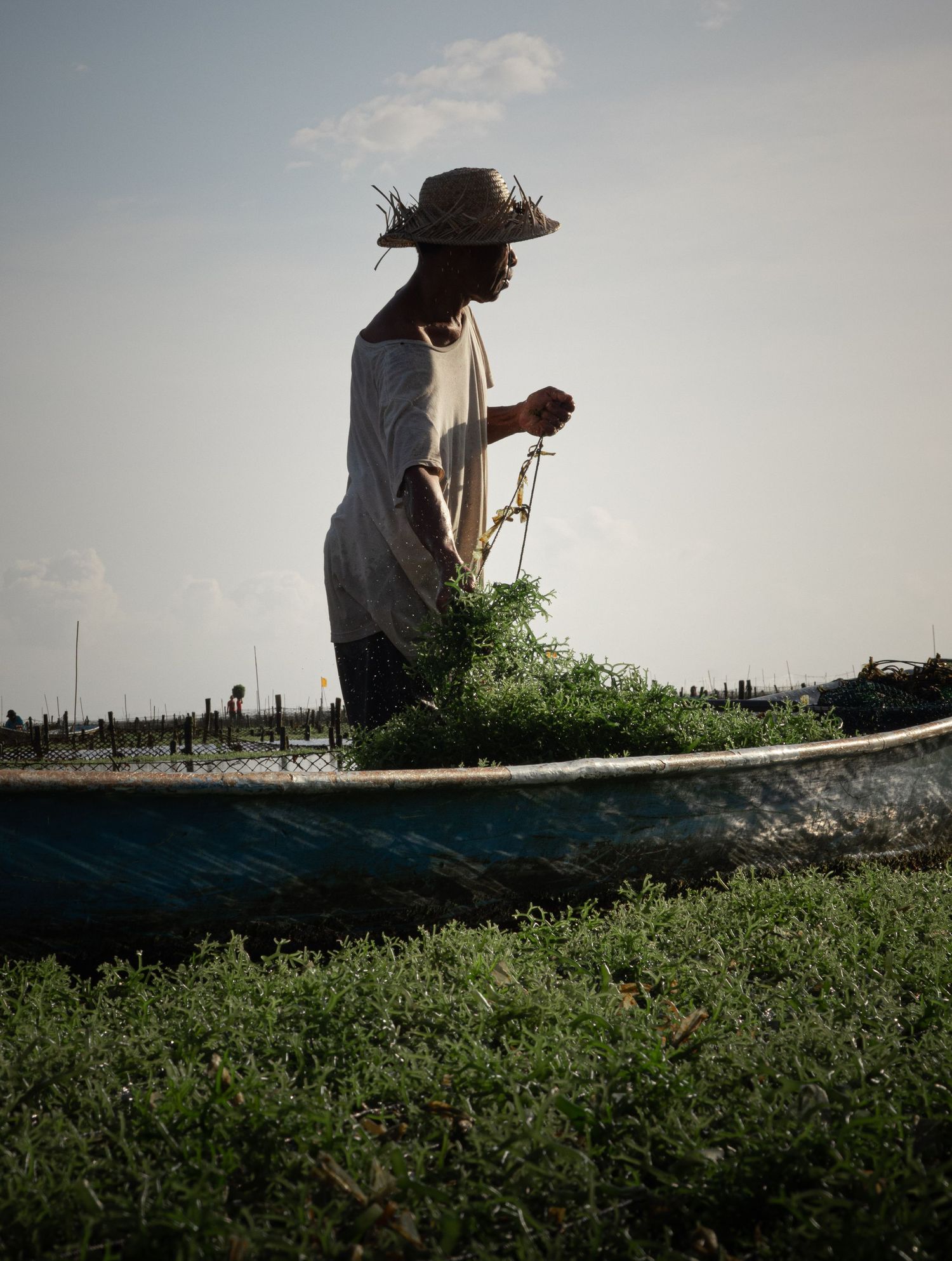 A silhouetted figure in a hat tends to plants beside a boat in evening light.
