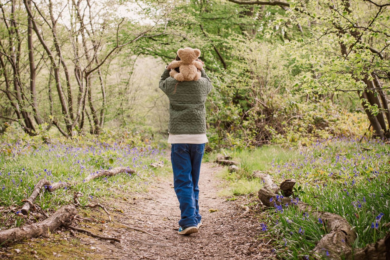 Person walking on a forest trail surrounded by spring bluebells.