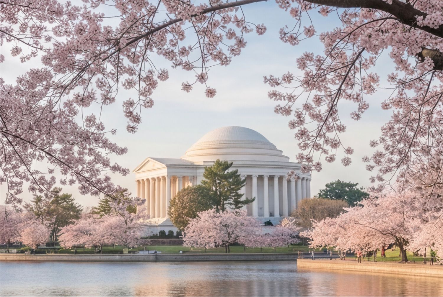 Cherry blossoms frame the Jefferson Memorial reflecting in the Tidal Basin at sunset in Washington DC. Flying Dress Photoshoot