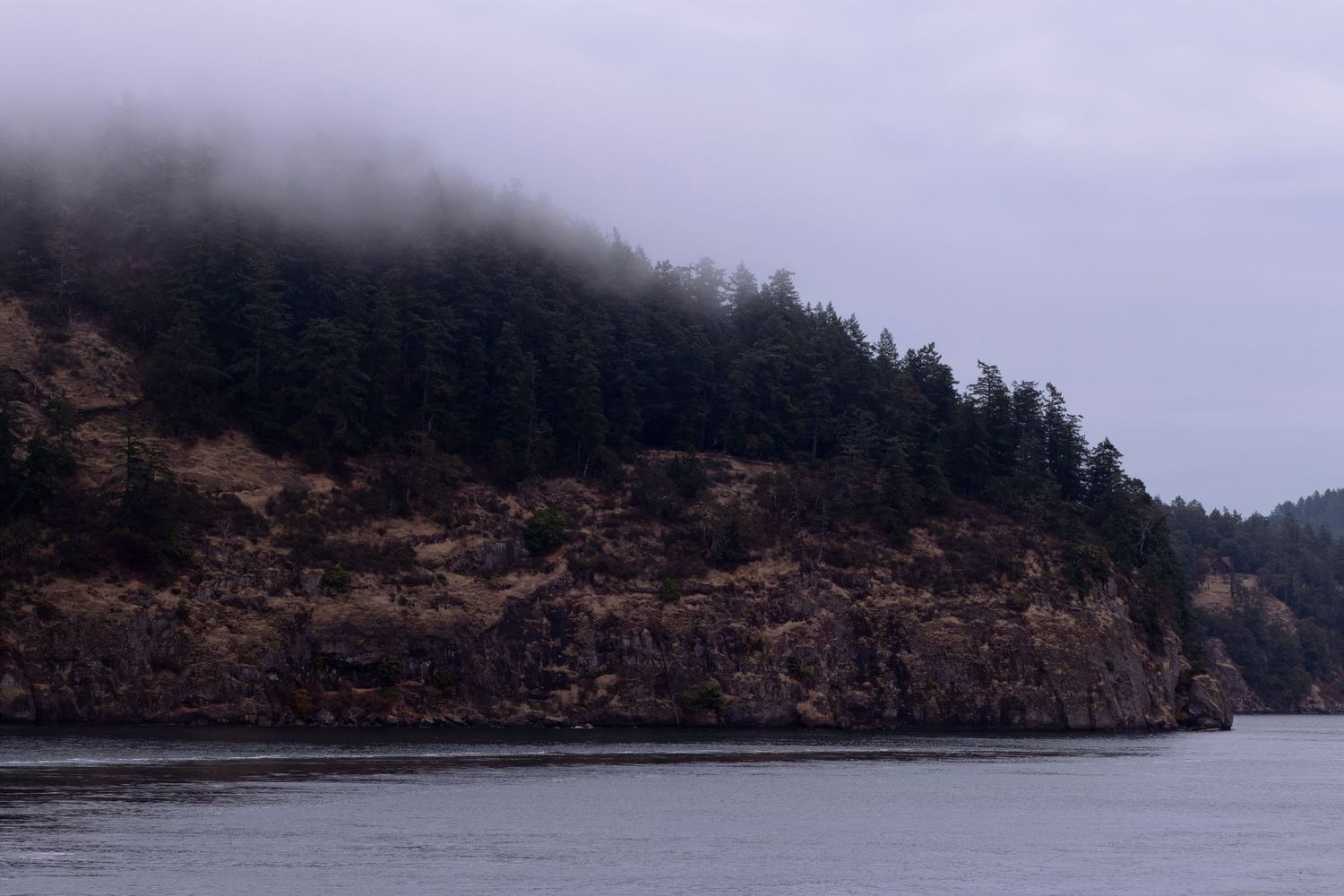 Scenic panoramic view of a rocky coastline with evergreen trees and misty gray skies over calm waters.