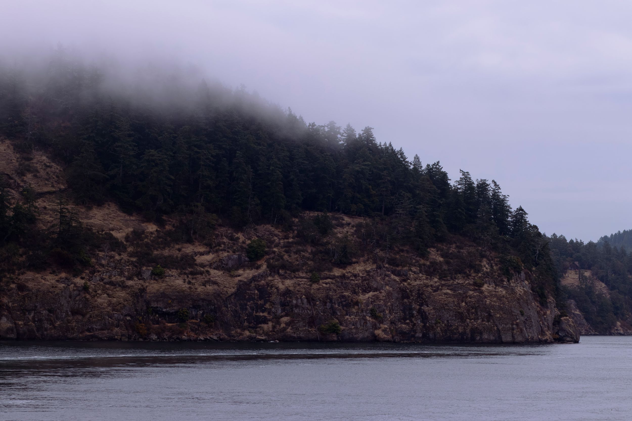 Scenic panoramic view of a rocky coastline with evergreen trees and misty gray skies over calm waters.