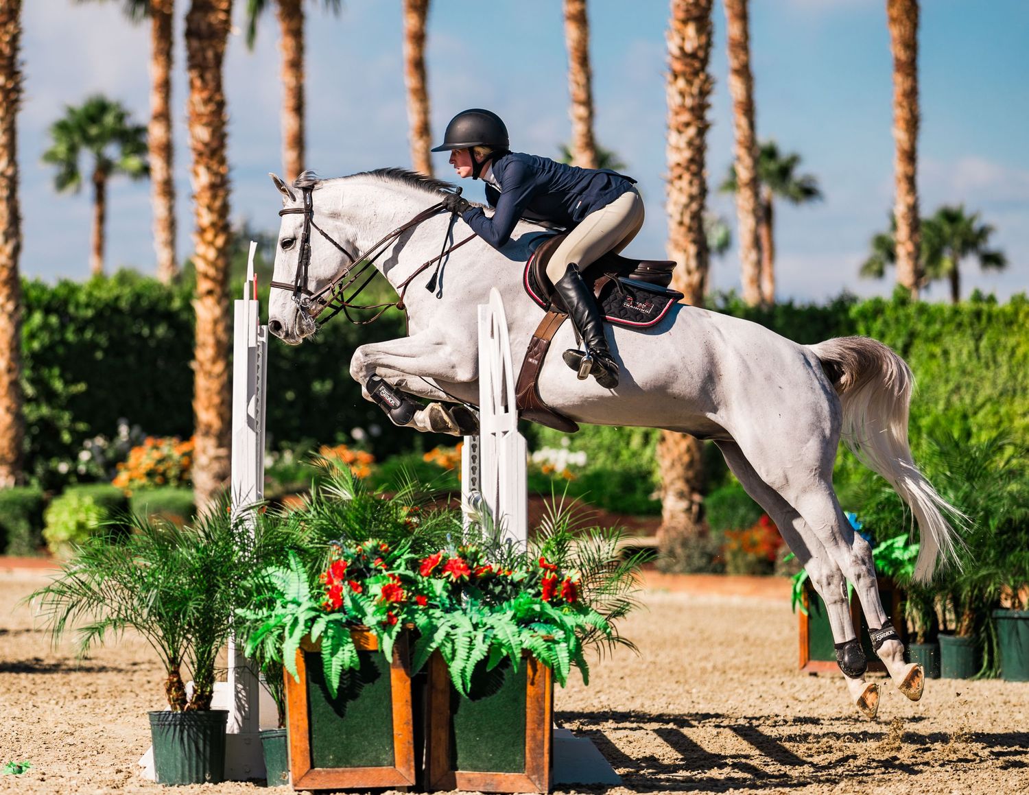 White horse and rider jumping over decorated obstacle with palm trees in background.