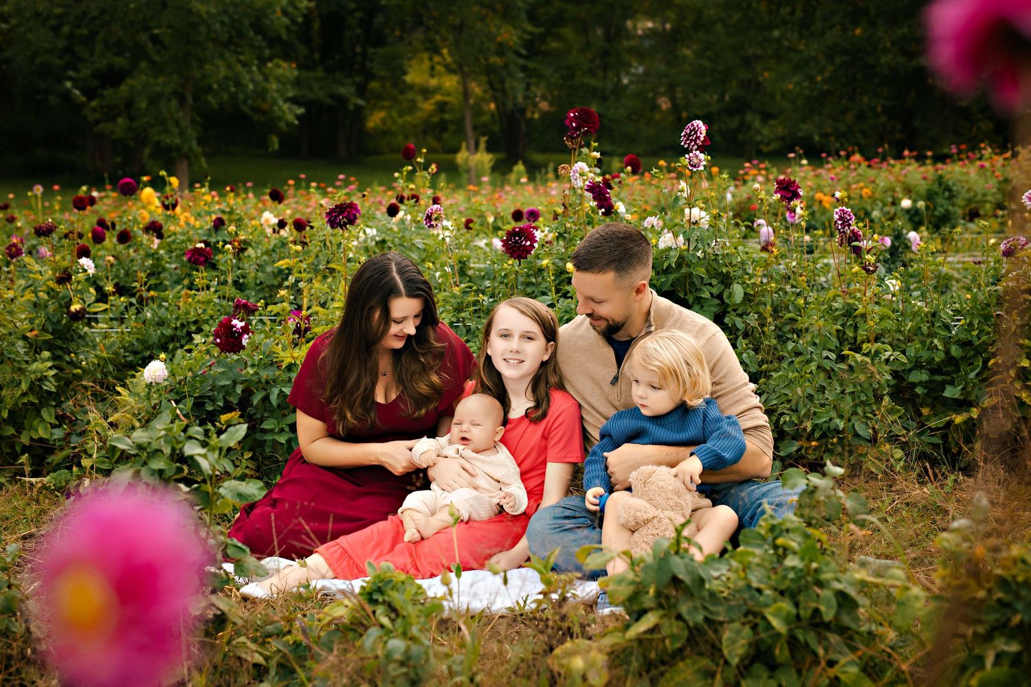 A family sits together on a blanket in a vibrant garden of pink and burgundy cosmos flowers on a sunny day.