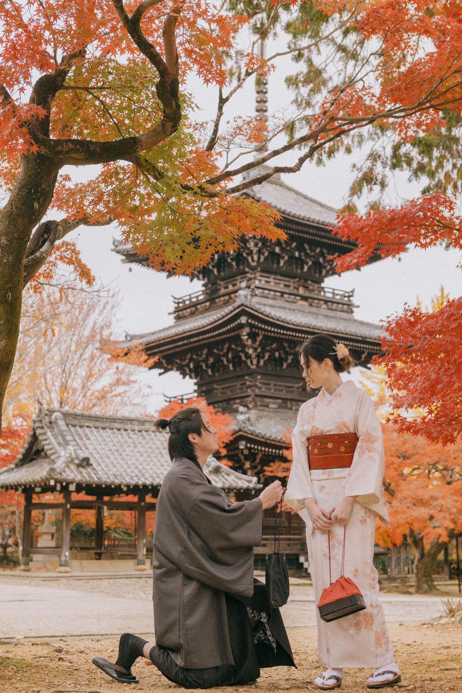 Couple in traditional Japanese kimono, one kneeling in a proposal pose, beneath vivid autumn maple leaves before a historic temple pagoda.