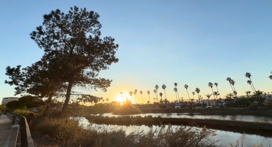 Stunning sunset over a calm waterway with silhouetted palm trees and a wooden boardwalk in a coastal California park.