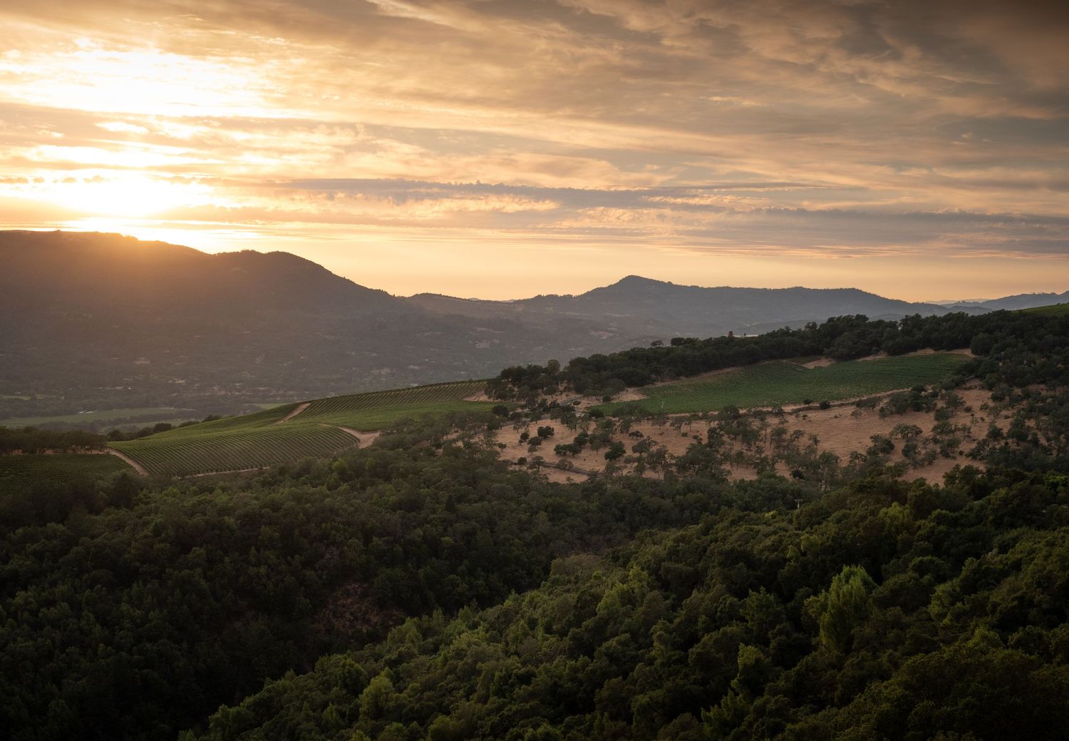 Sunset illuminates mountainous landscape with golden light streaming across green hillsides.