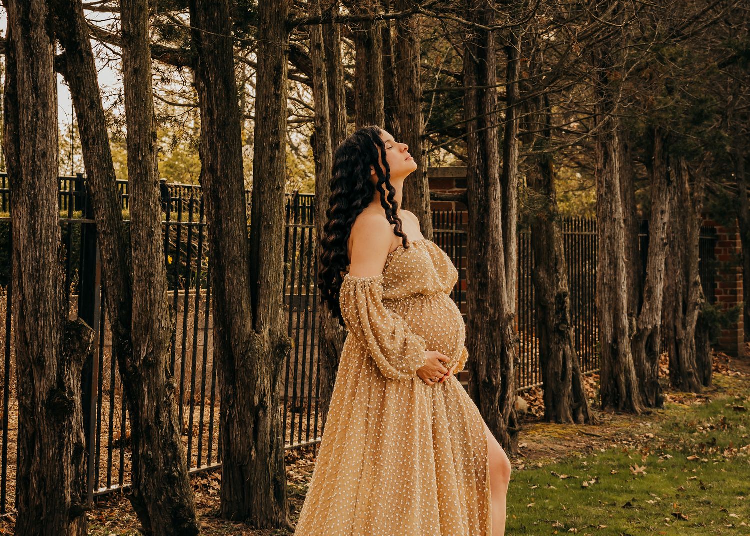 Central Indiana Maternity Photographer