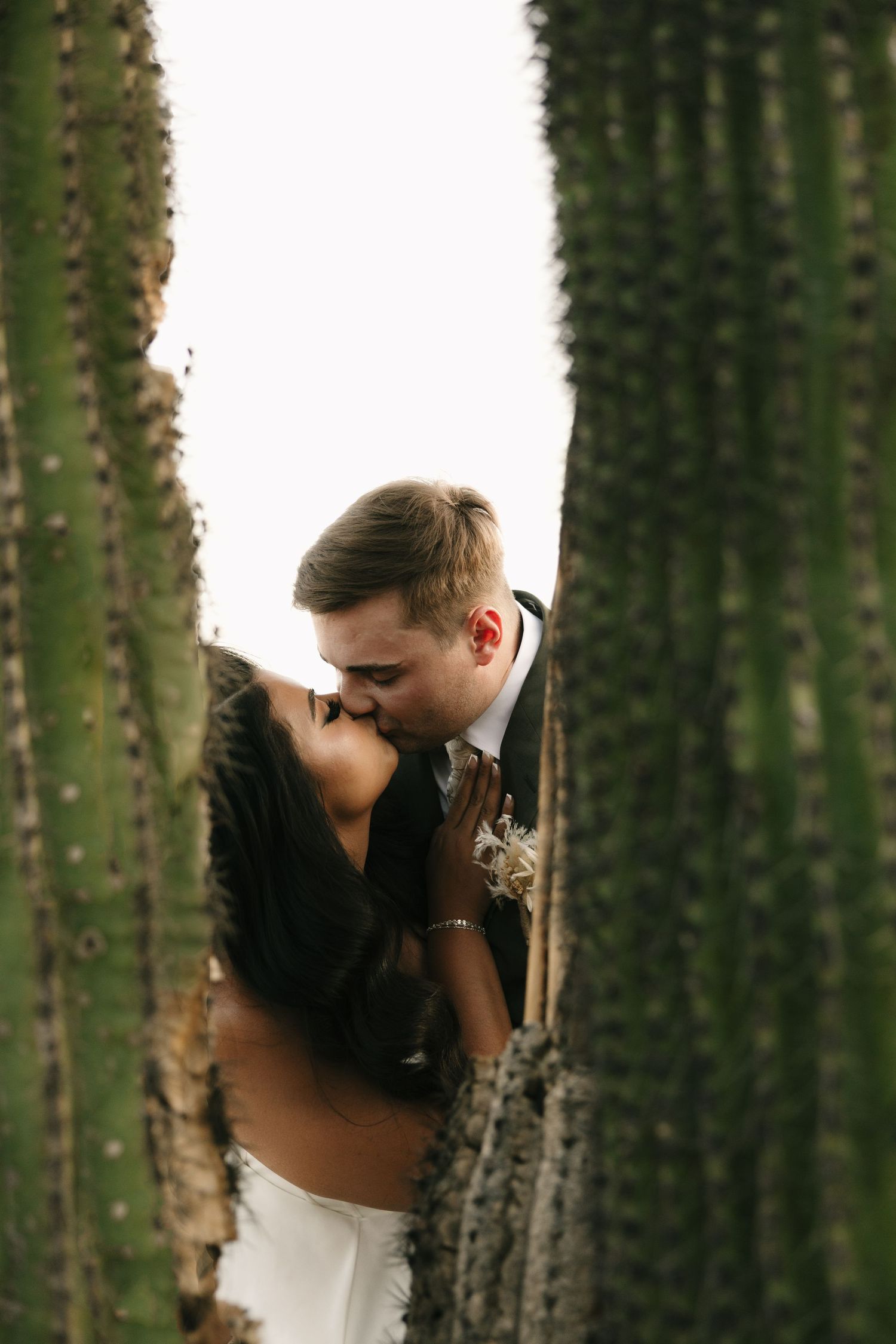 A romantic wedding photo captured between tall cactus plants in soft lighting.