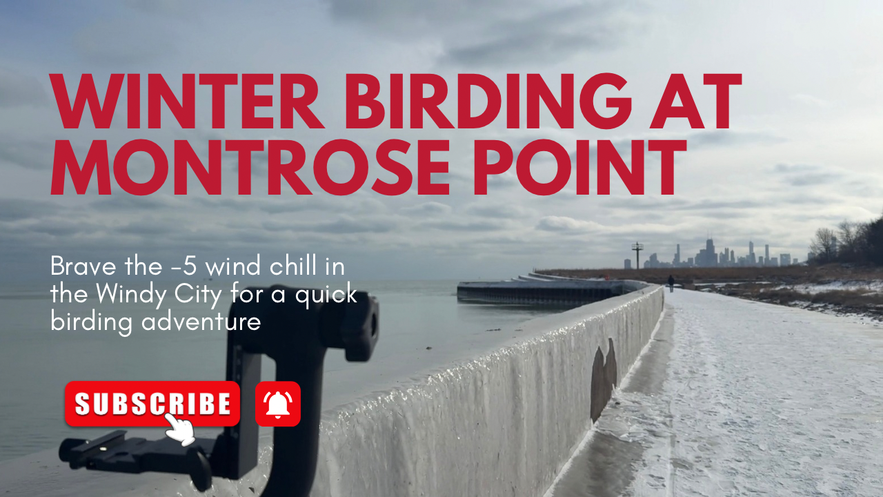 A snowy winter scene at Montrose Point with Lake Michigan and Chicago skyline in the background.
