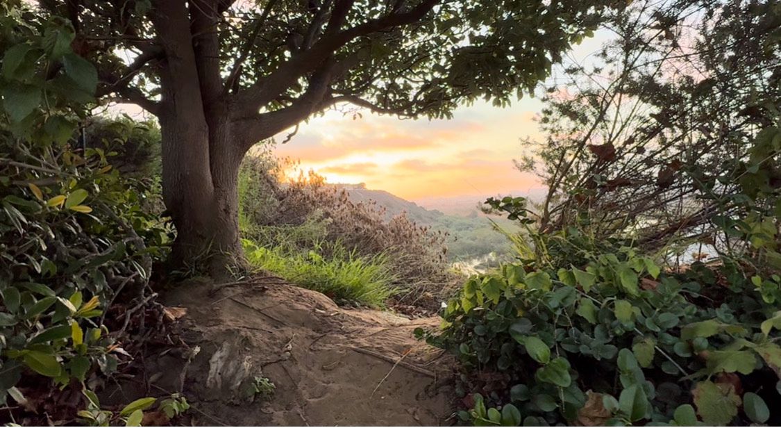 A winding dirt hiking trail surrounded by lush green vegetation leads upward towards a scenic mountain vista at sunset.