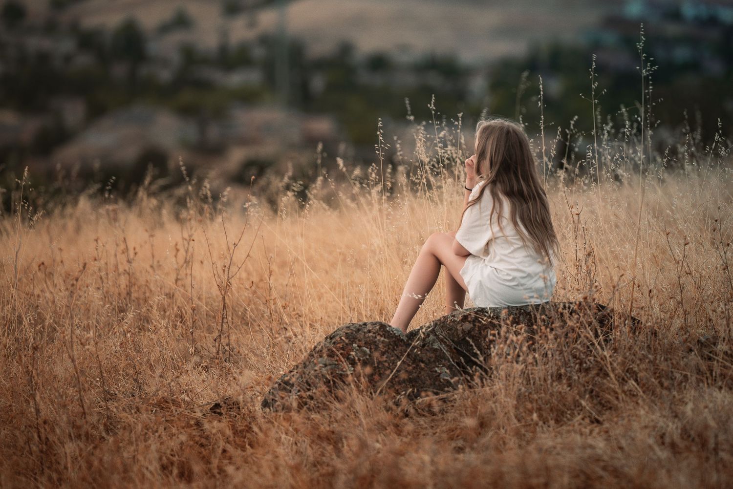 A young girl in a white dress sits on a rock in a golden field, gazing into the distance.