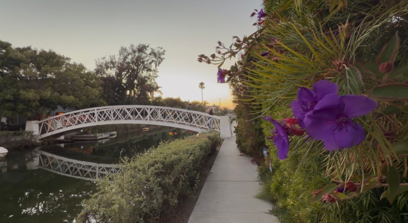 White ornate bridge over a serene canal at sunset with vibrant purple flowers in Venice, California.