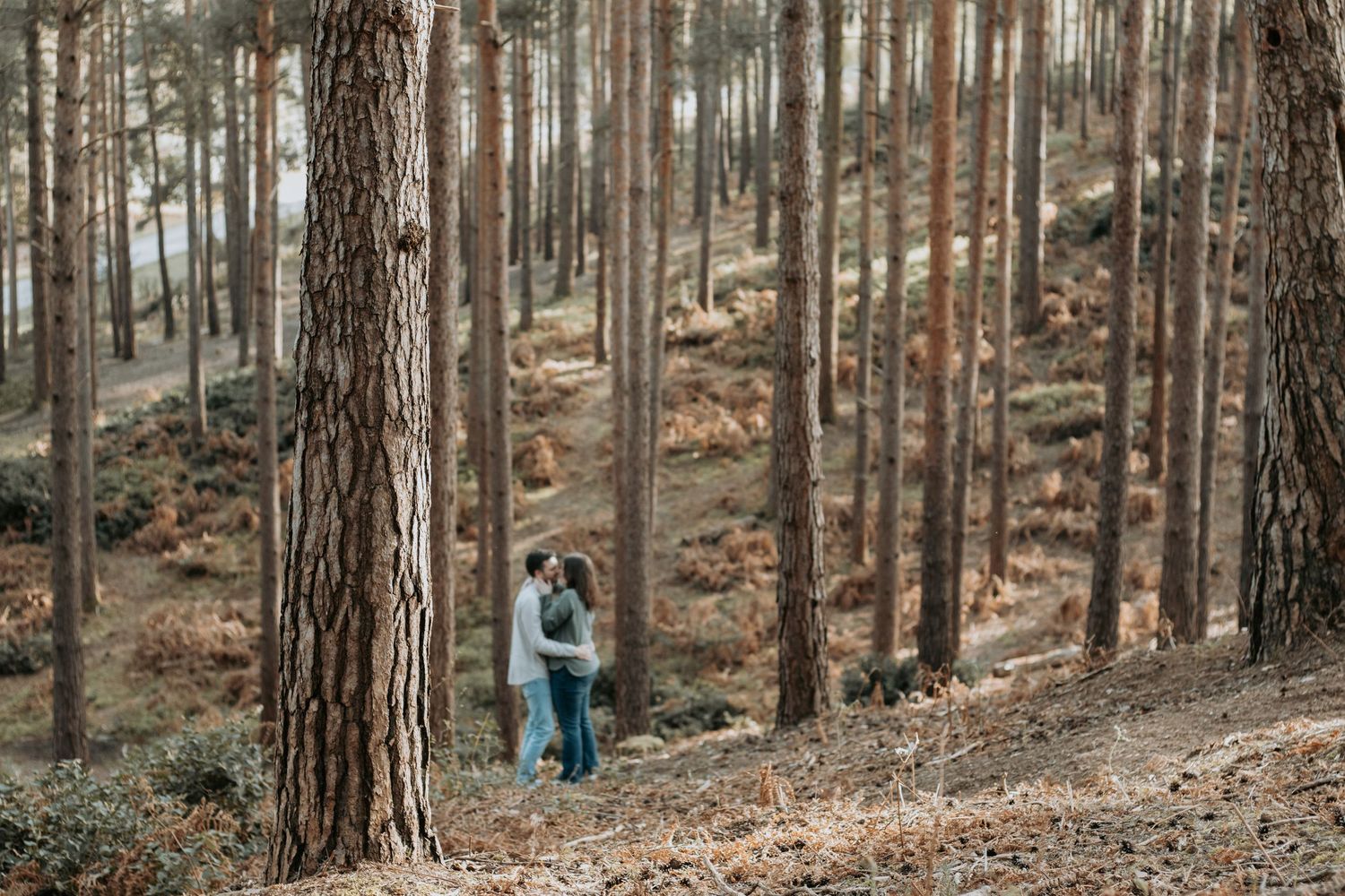 Couple embracing romantically among tall pine trees in a serene autumn forest setting.