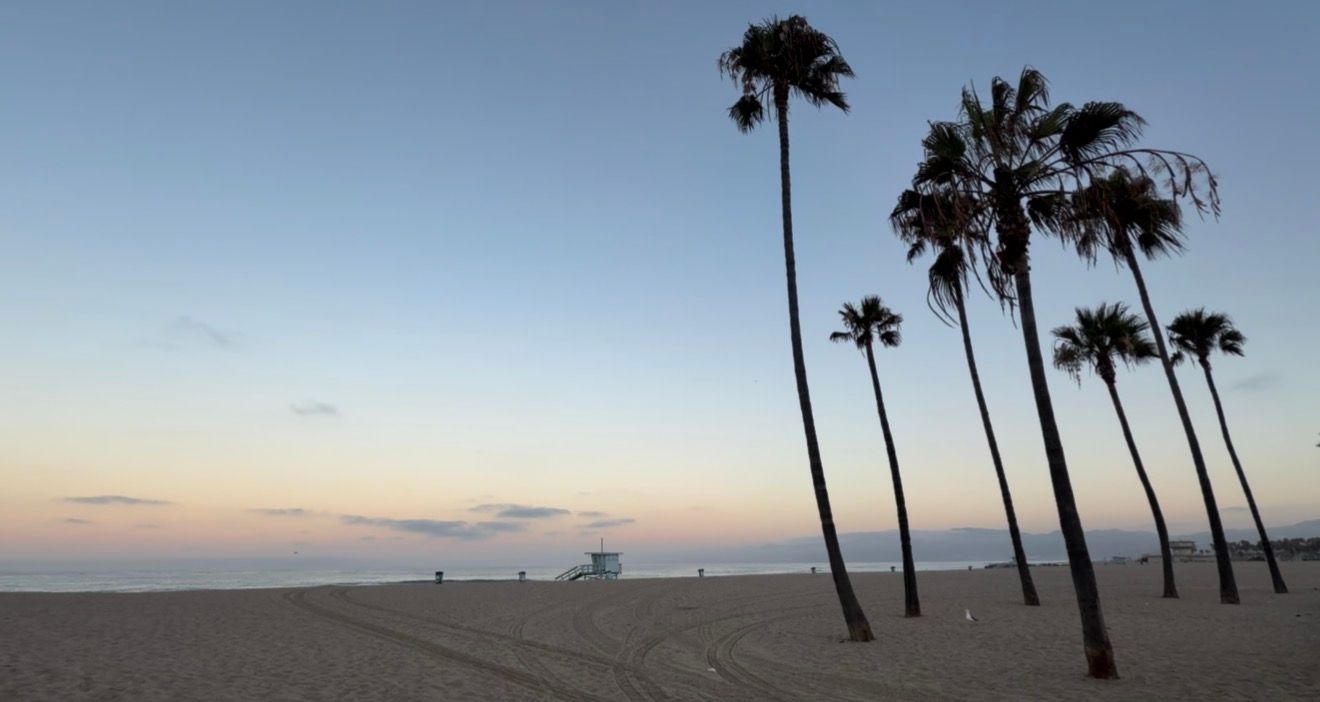 Silhouetted palm trees on a sandy beach at sunset with a lifeguard tower in the background.