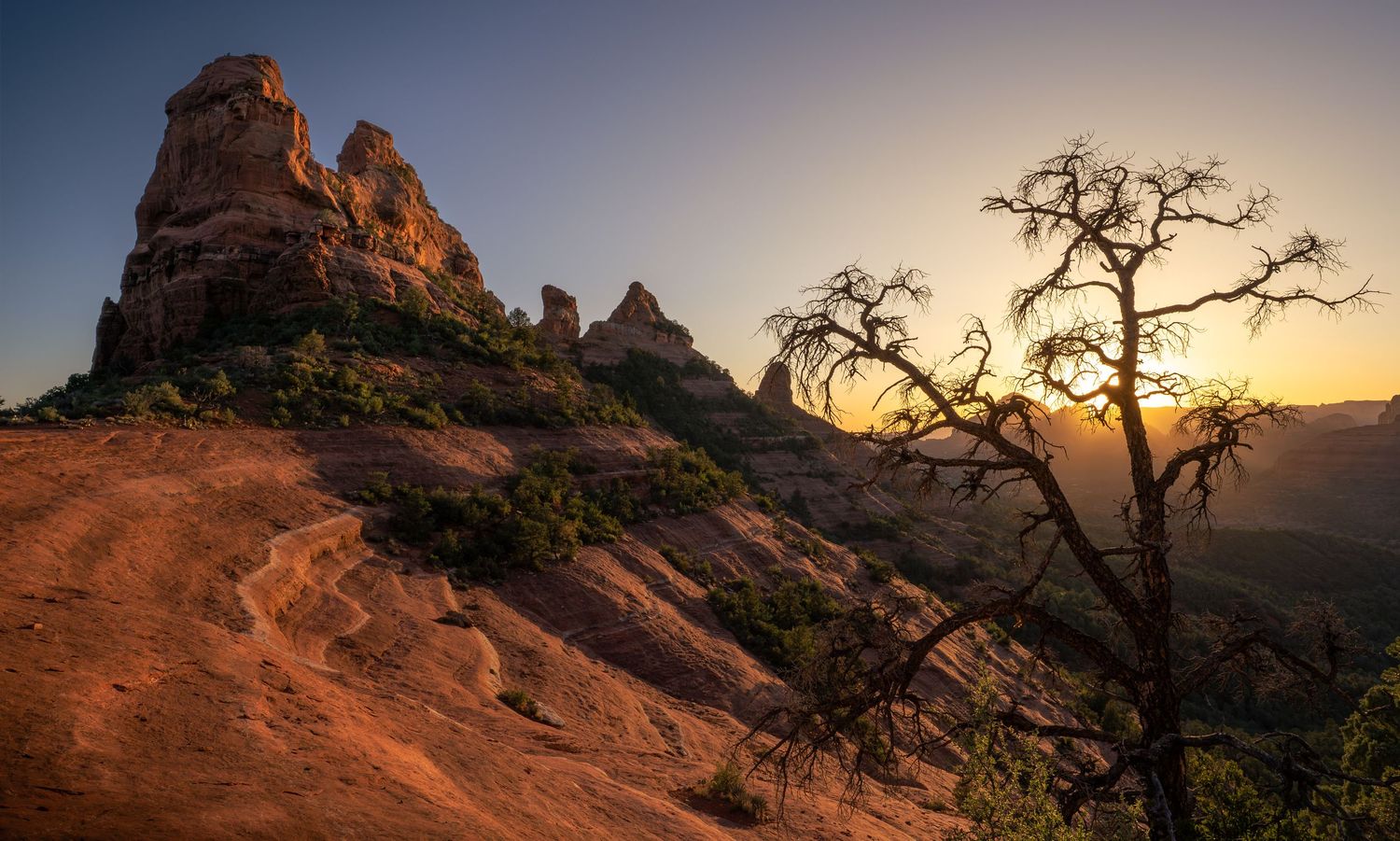 A dramatic panoramic view of red rock formations and twisted juniper trees at sunset in Sedona, Arizona.