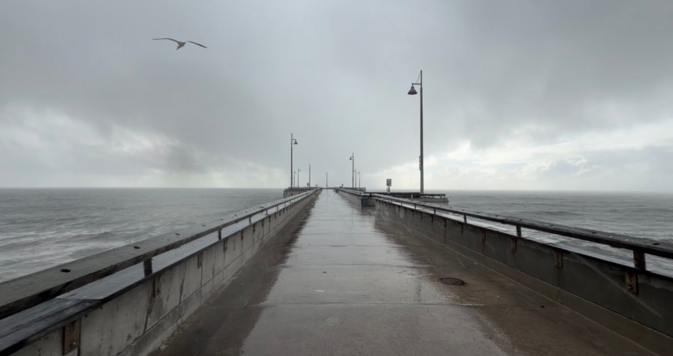 A long pier extends into the misty ocean under stormy gray skies with a seagull flying overhead.