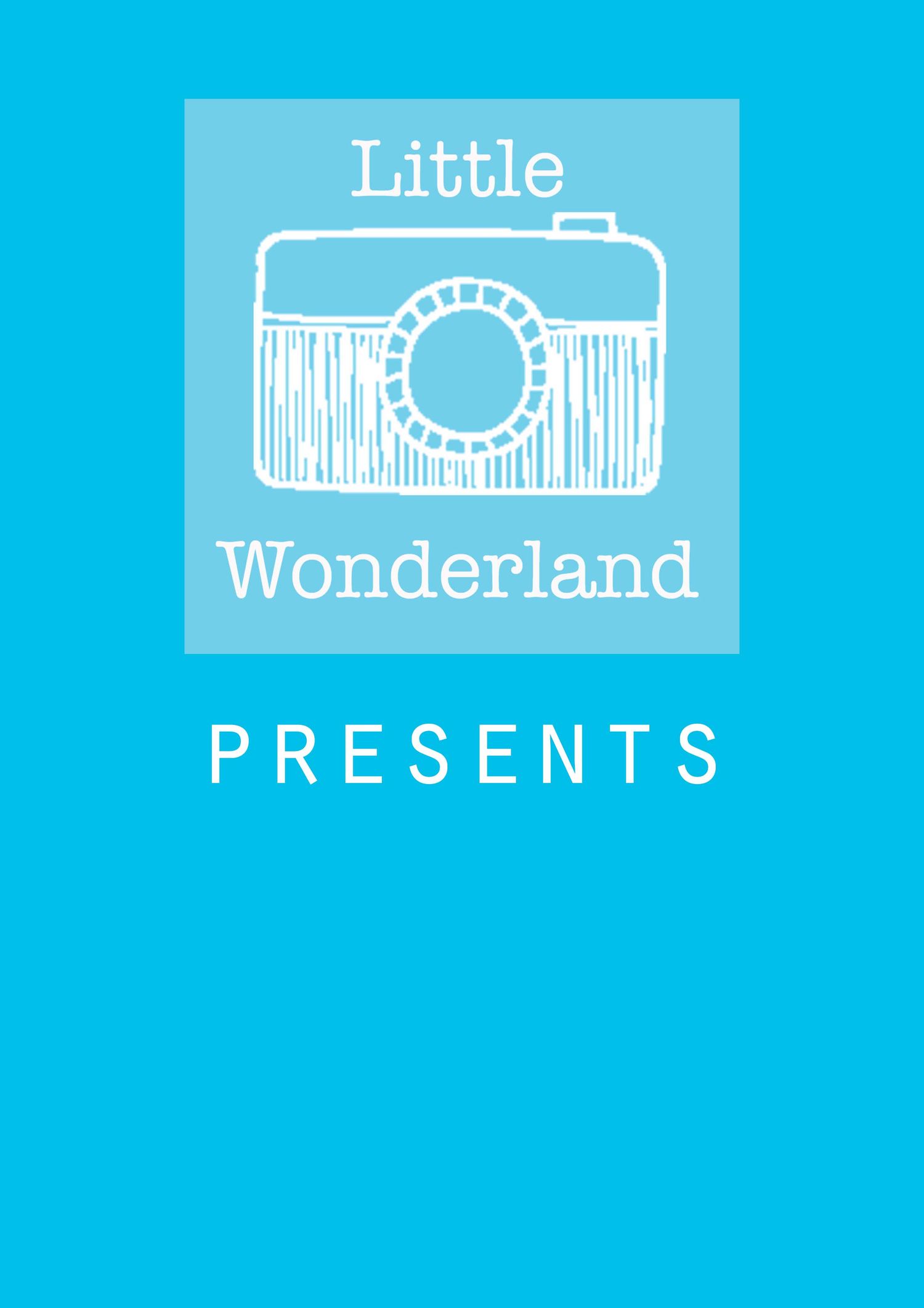 Little Wonderland Photography logo. based in widnes cheshire and serving Runcorn, Frodsham, St Helens, Warrington. Liverpool, Cheshire