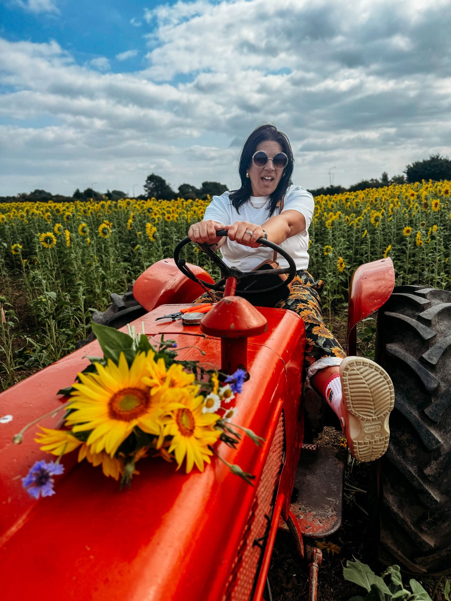 Red tractor decorated with sunflowers in a blooming sunflower field under cloudy blue sky. Photographer. Hull. East Yorkshire. Photography