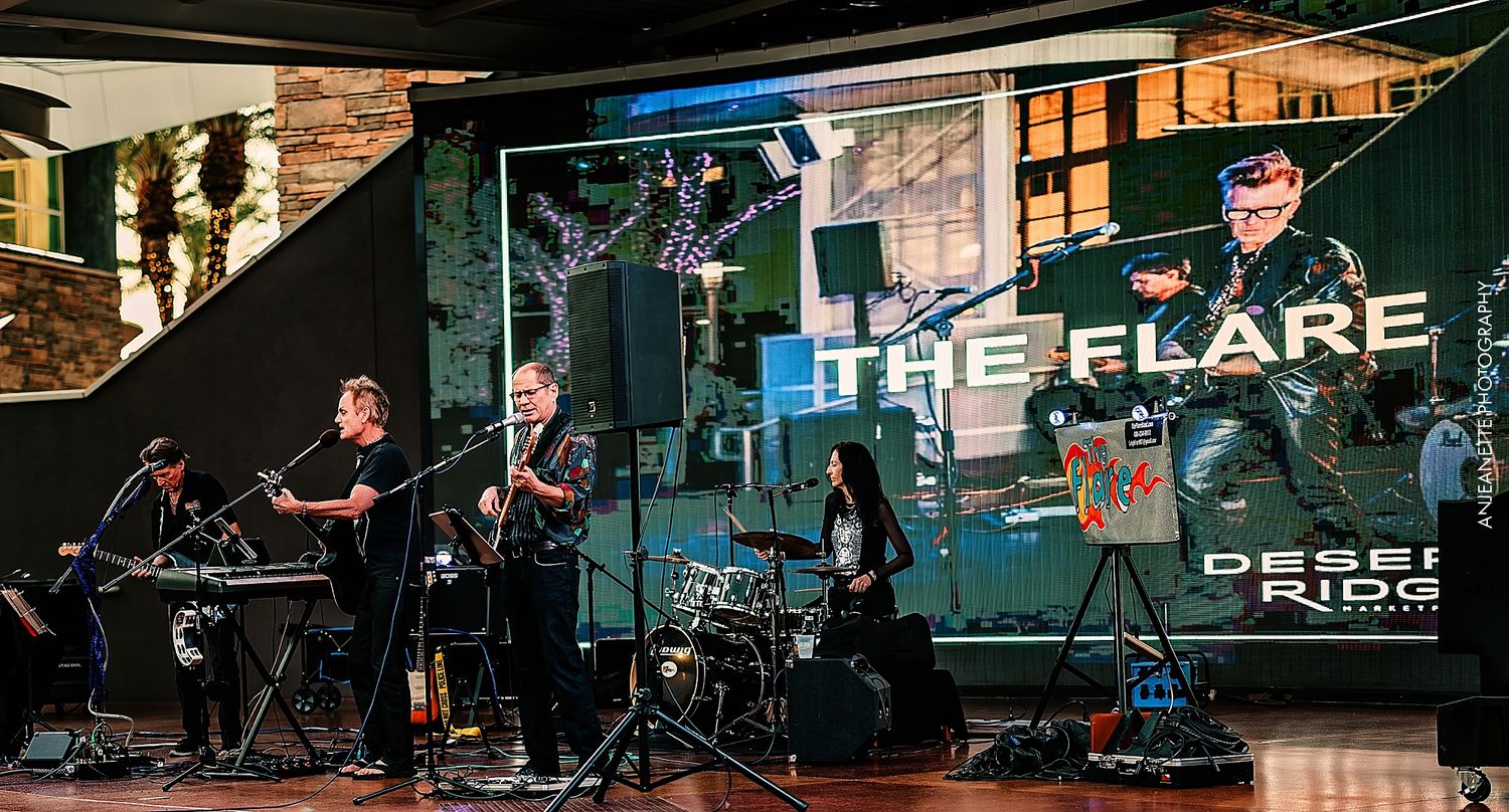 phoenix concert photographer gig photography live show photos anjeanette