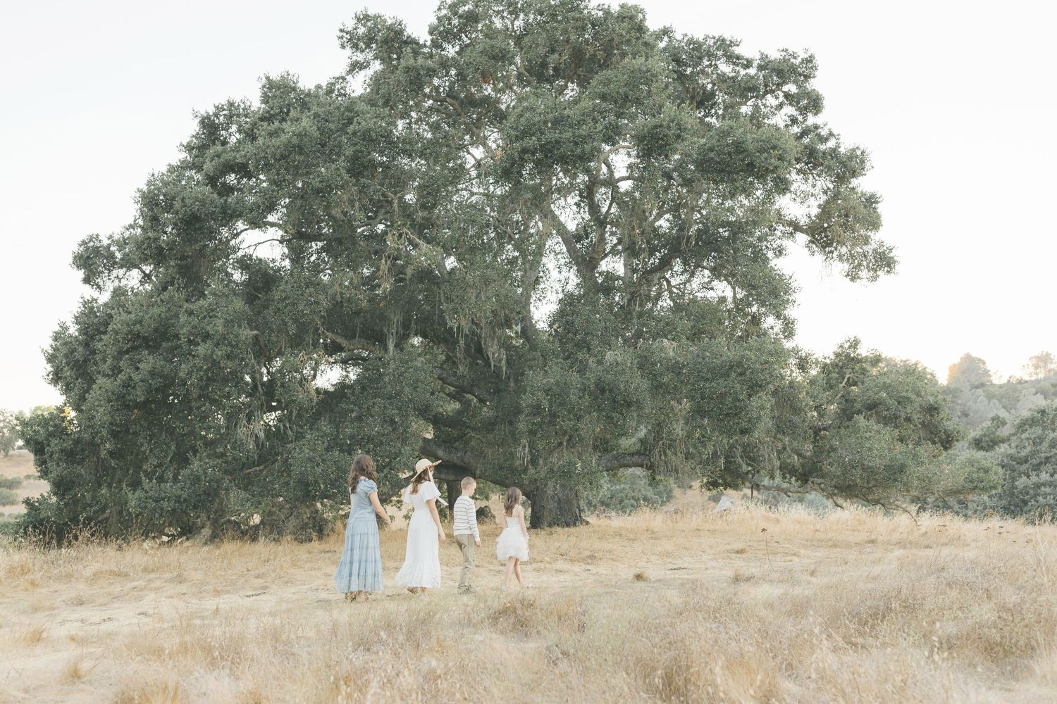 Family portrait in golden field wearing coordinated blue and white outfits during sunset captured by Chelsee Rawe Photography