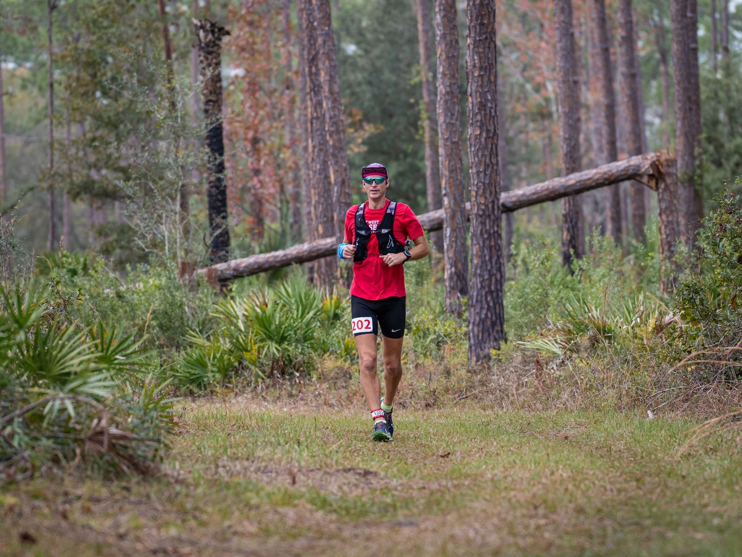 Runner in red shirt traversing through a pine forest trail during daytime.