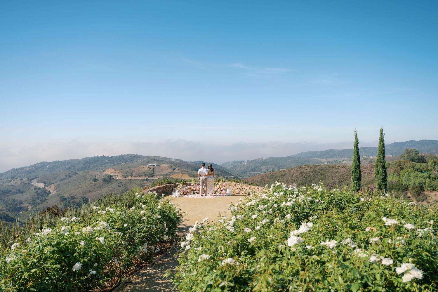 Couple holds hands at a floral hilltop overlook with stunning mountain views under a clear blue sky.