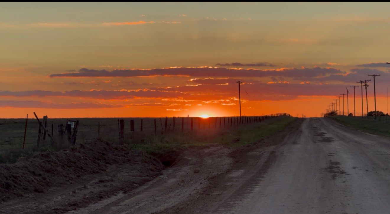 Golden sunset over a rural dirt road flanked by fence posts and utility poles on flat open farmland.