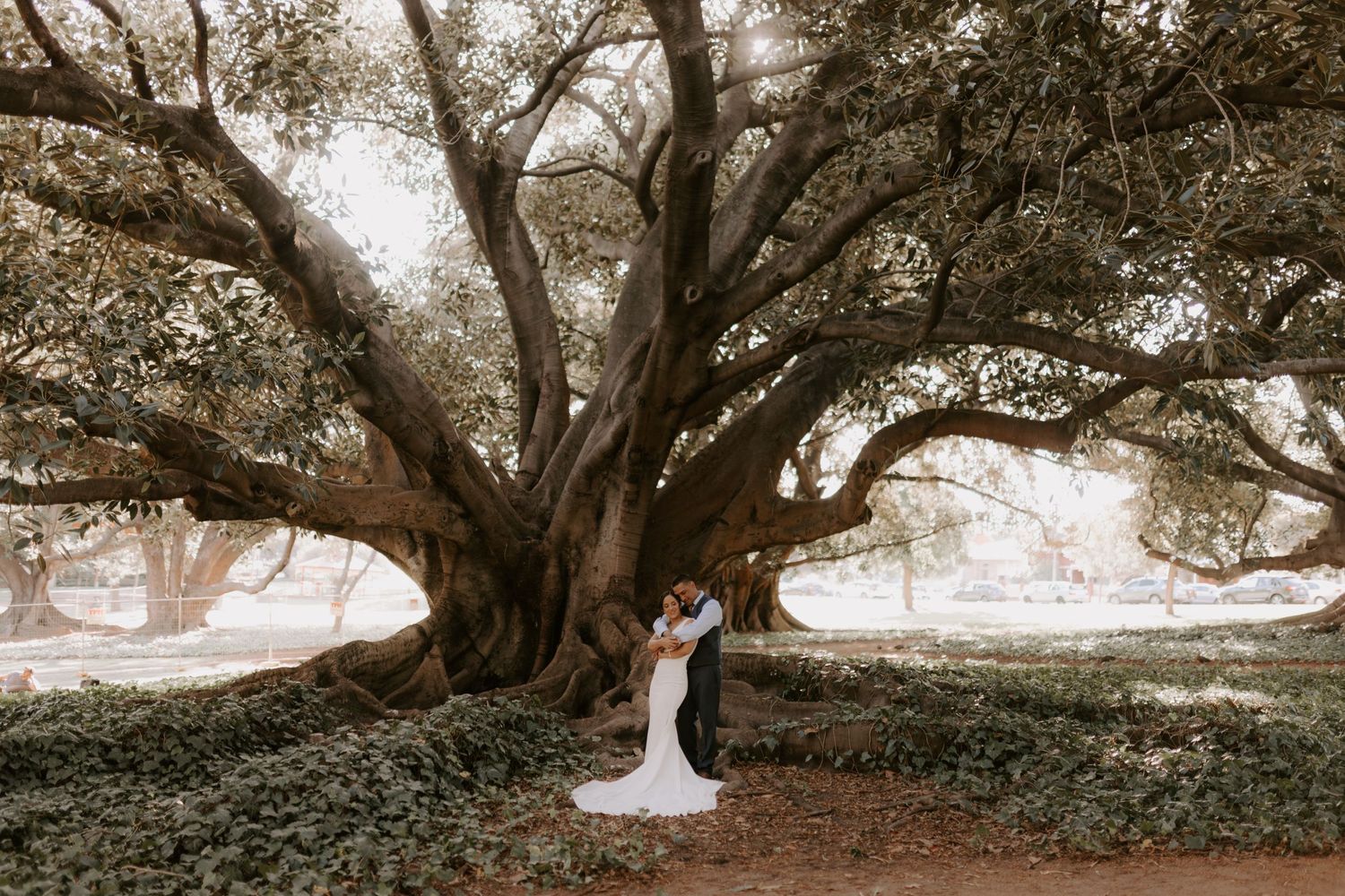 Wedding photography under majestic oak trees with natural light filtering through branches.
