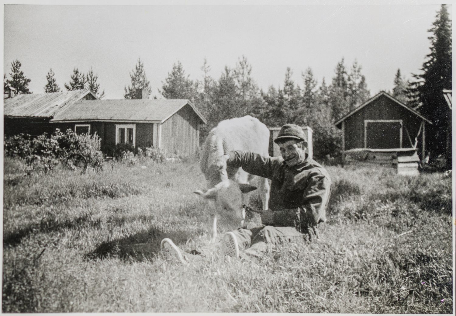 Svartvit bild på en man som sitter i högt gräs och han håller om sin ko. Man ser två hus i bakgrunden.