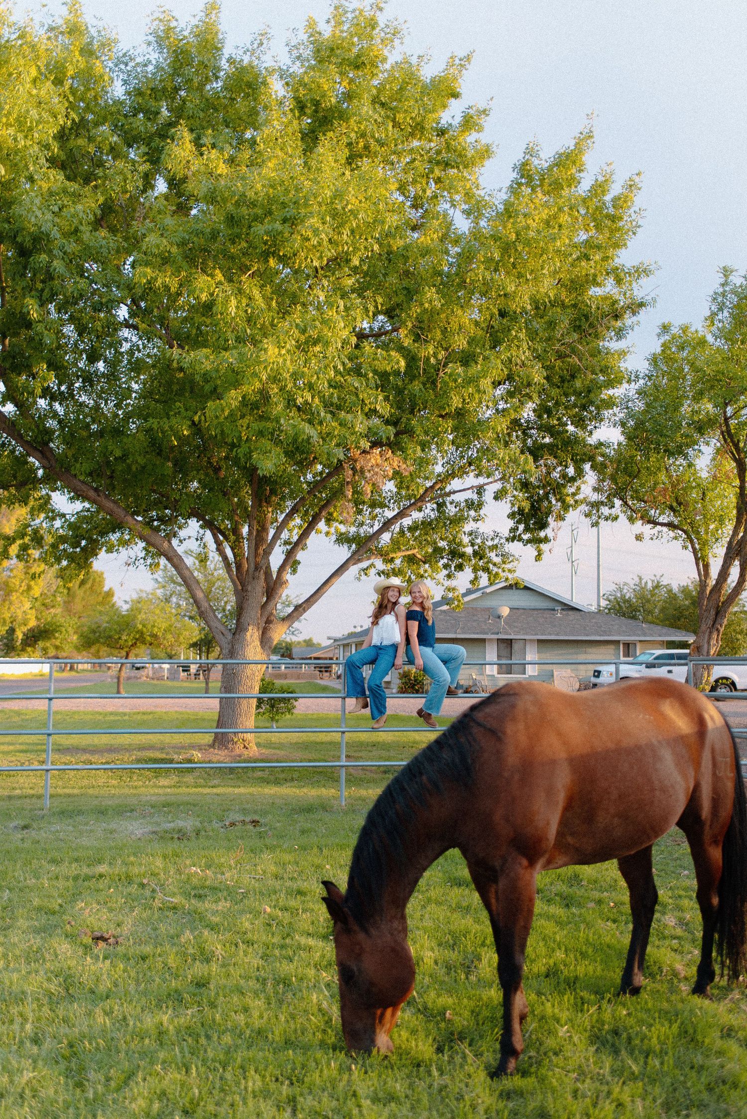 Photo of two high school seniors at their shared western senior photoshoot in Gilbert, Arizona with horses.