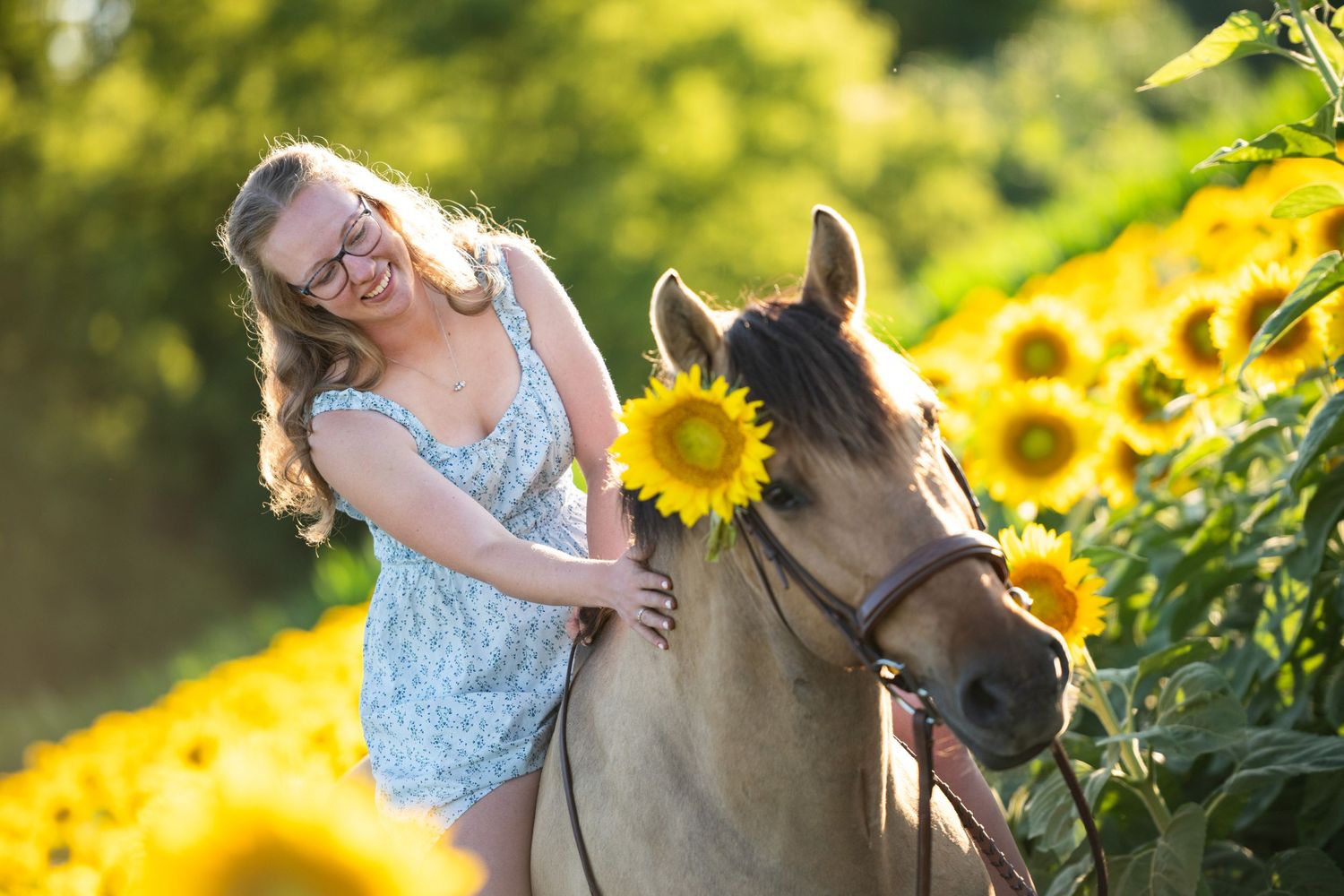 A horse and rider share a joyful moment amid vibrant sunflower fields on a sunny summer day.
