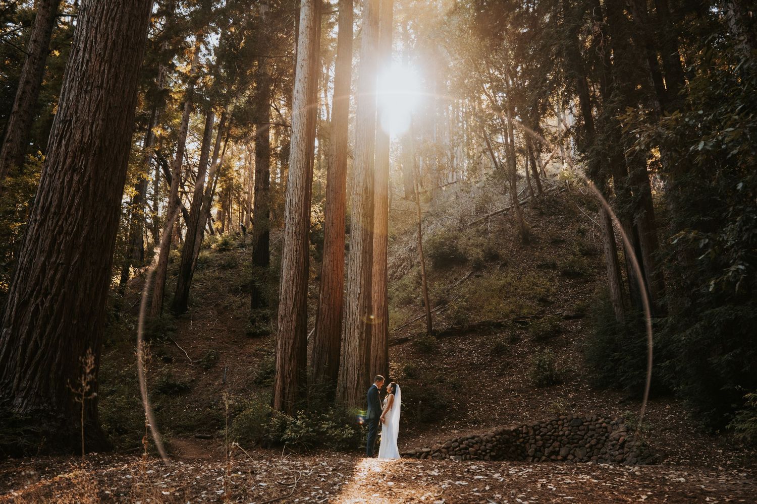 redwood wedding at waterfall lodge