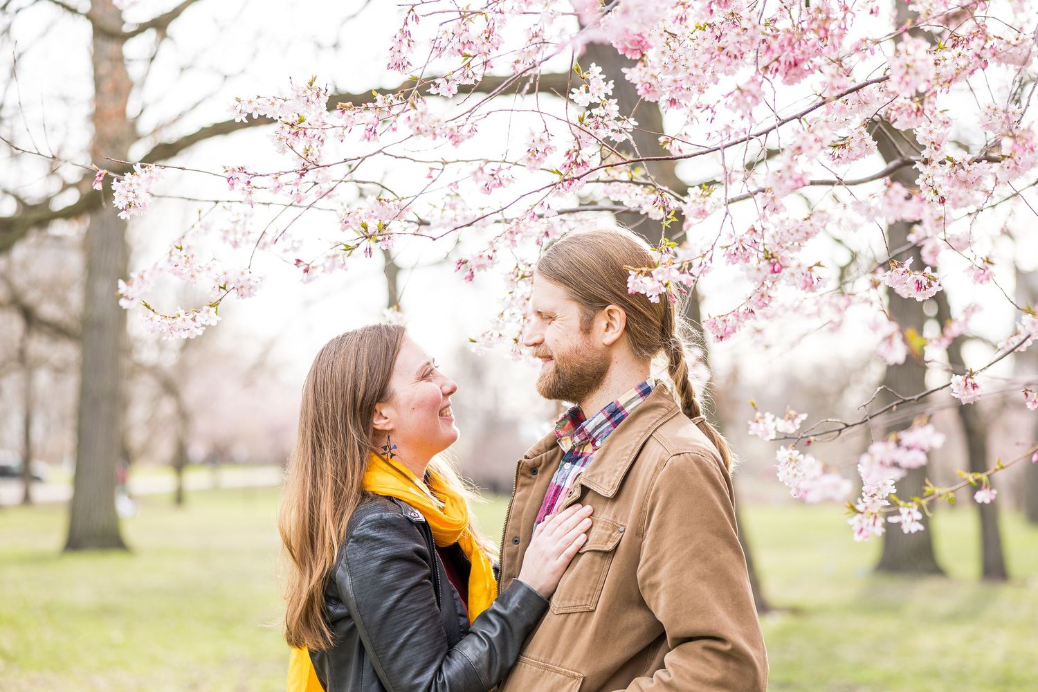 A couple embraces beneath blooming pink cherry blossom trees on a spring day.