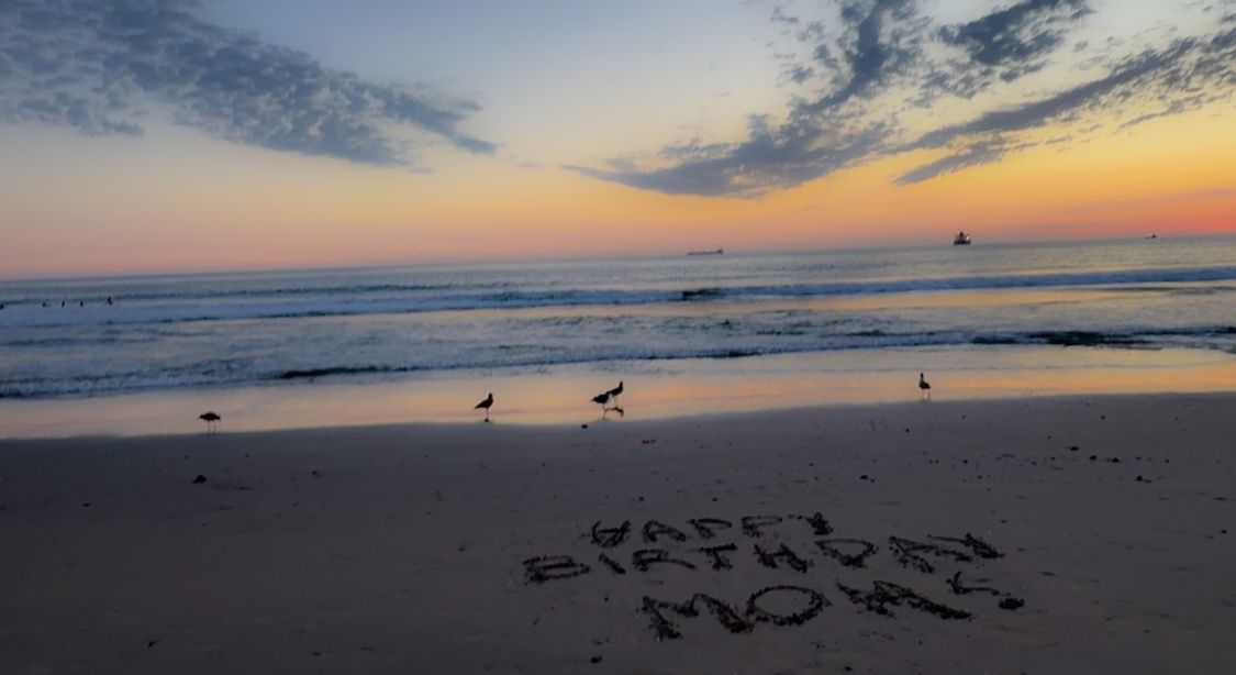 Six seabirds walk along an empty beach at sunset with colorful orange and purple clouds in the sky.
