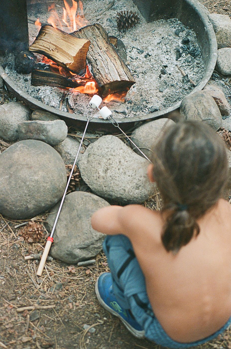 Close-up of a campfire with rocks arranged around burning logs.