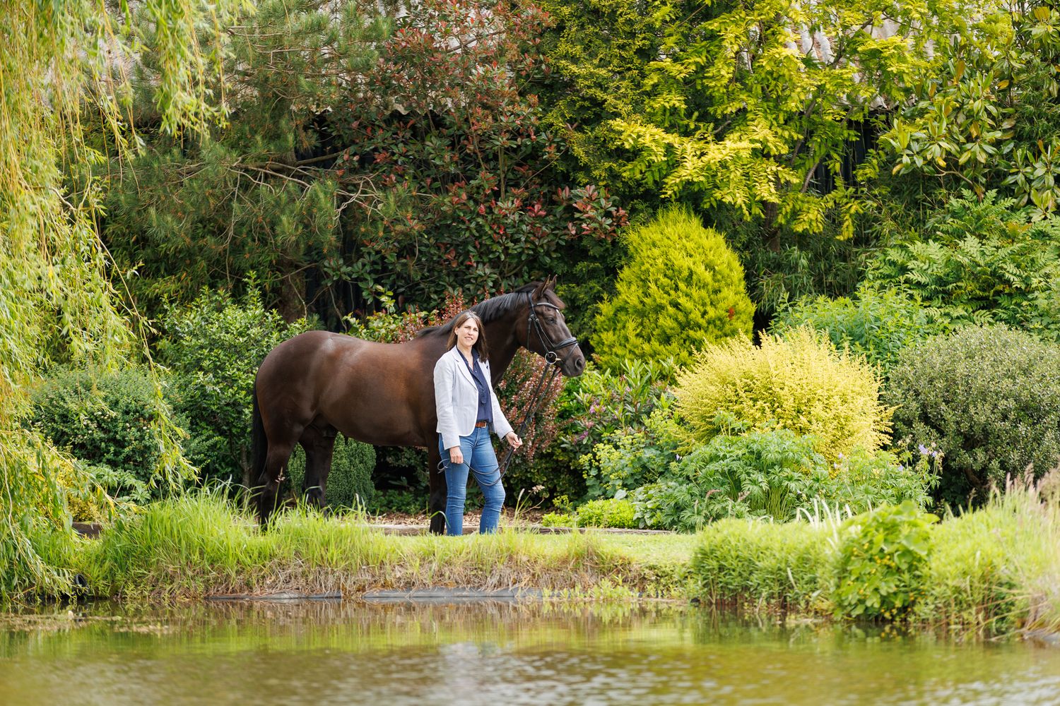 A person leads a palomino horse along a sunlit forest trail surrounded by tall evergreen trees.