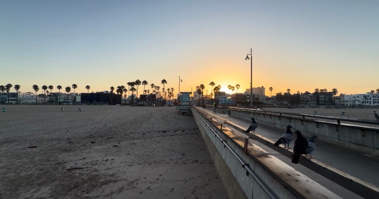 Sunset over Venice Beach with palm trees, sandy shore, and people sitting on a pier railing in Los Angeles, CA.