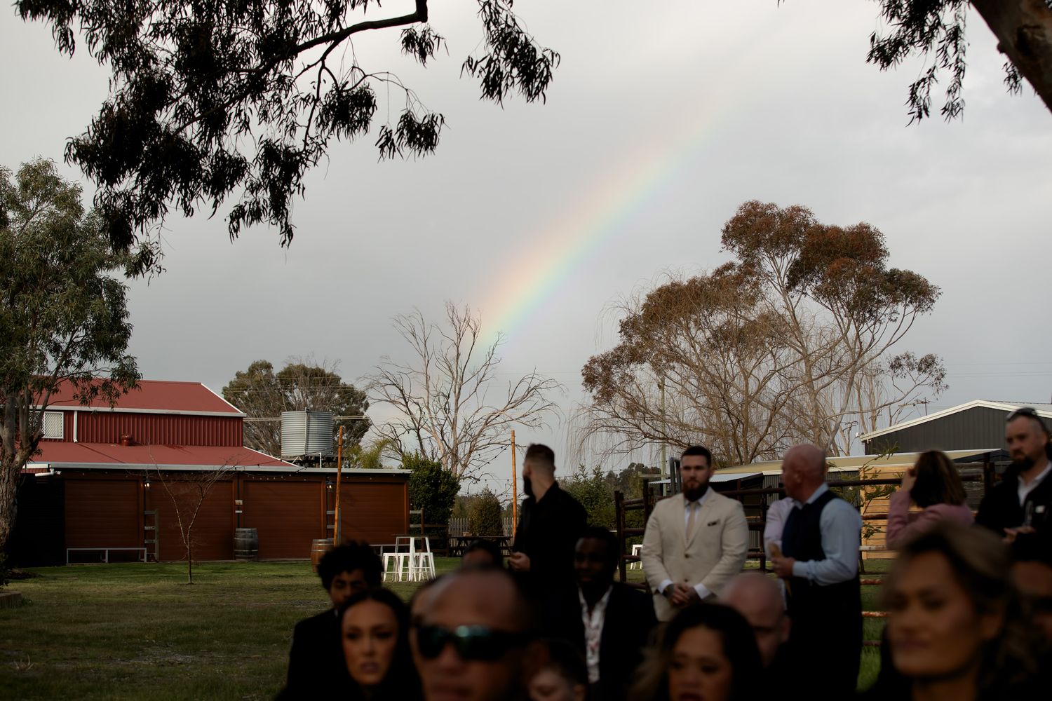 Outdoor gathering with guests on green lawn beneath a vivid rainbow arching over rural buildings and eucalyptus trees.