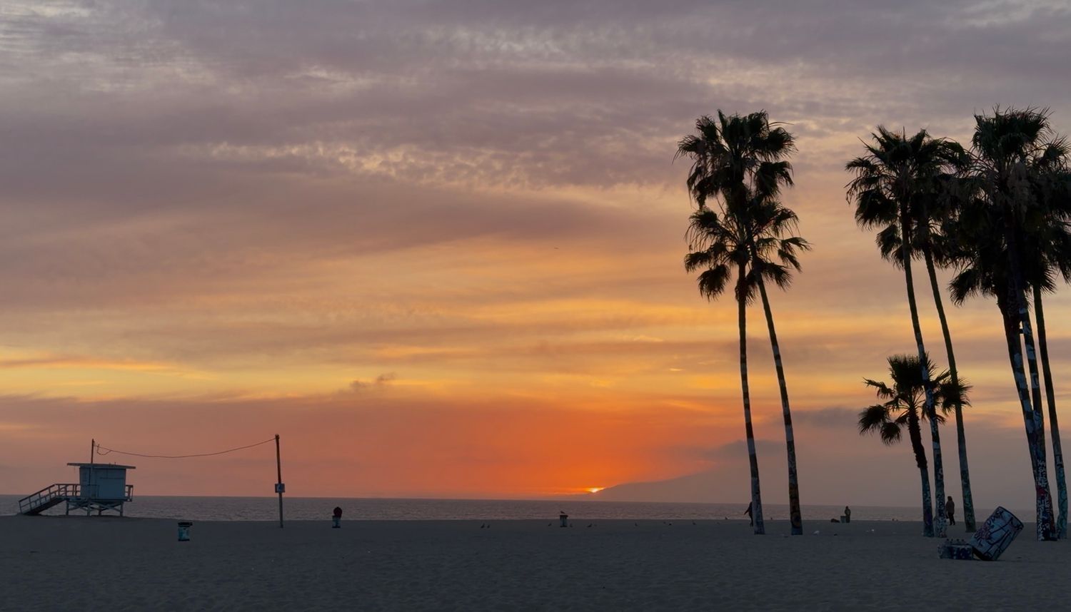 Stunning Venice Beach sunset with silhouetted palm trees and lifeguard tower against vibrant orange sky.